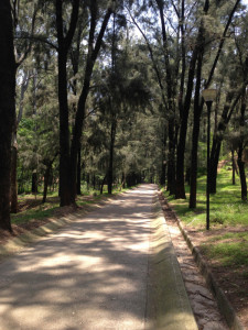 paved pathway bosque los colomos guadalajara mexico