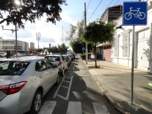 new bike lanes and signs in guadalajara jalisco